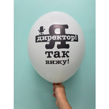 Шар Я директор я так вижу