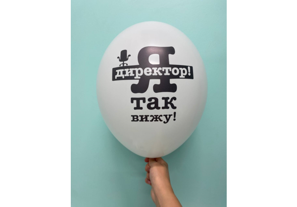 Шар Я директор я так вижу