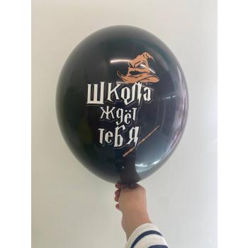 Шар к 1 сентября Гарри Поттер