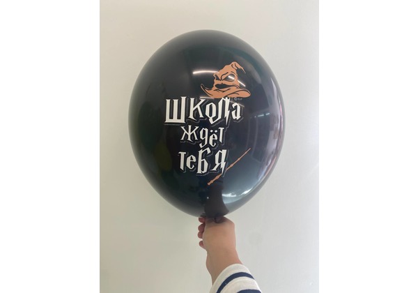 Шар к 1 сентября Гарри Поттер