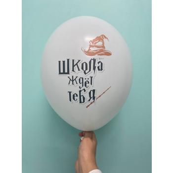 Шар к 1 сентября Гарри Поттер
