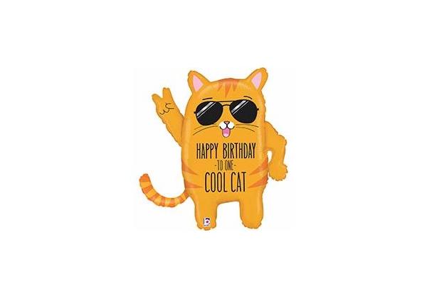 Шар Hb to one cool cat