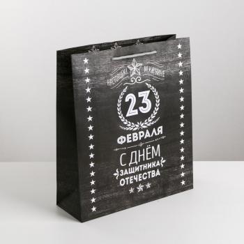 Пакет Защитнику 18 × 23 × 10 см