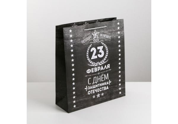Пакет Защитнику 18 × 23 × 10 см