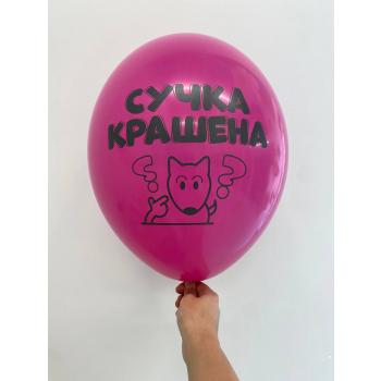 Шар сучка крашена