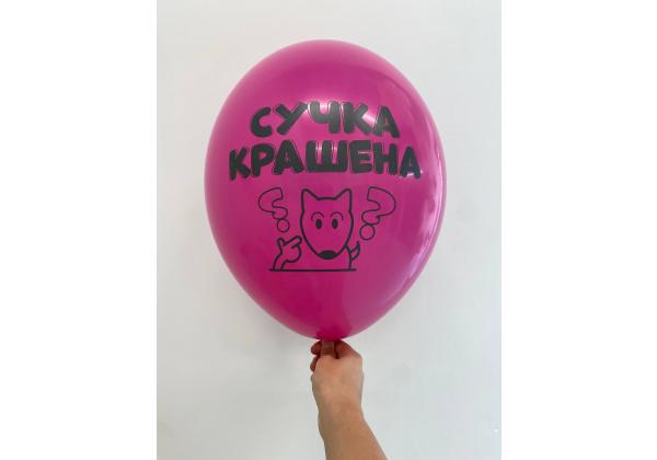 Шар сучка крашена