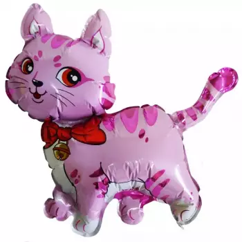 Мини шар Кошечка с бантом