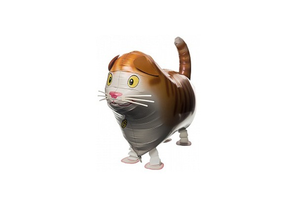 Ходячая фигура, кот