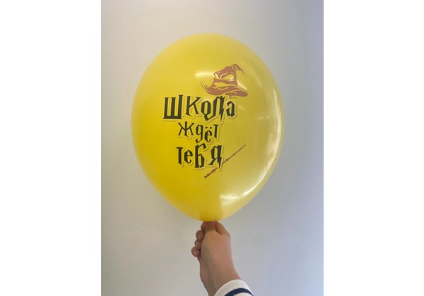 Шар к 1 сентября Гарри Поттер