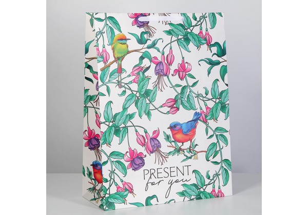 Пакет вертикальный «Present for you», 61 × 46 × 20 см
