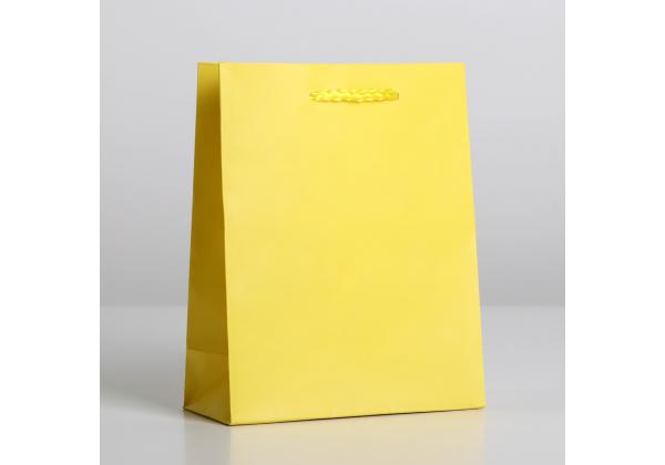 Пакет «Жёлтый», S 12 х 15 х 5,5 см