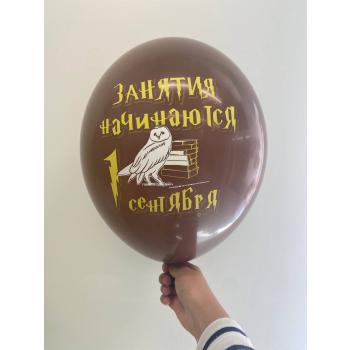 Шар к 1 сентября Гарри Поттер