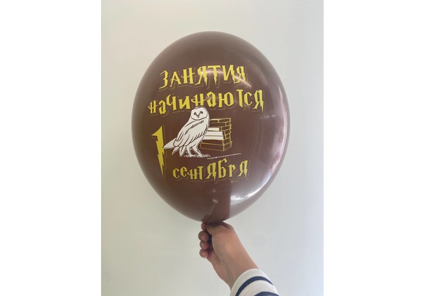 Шар к 1 сентября Гарри Поттер