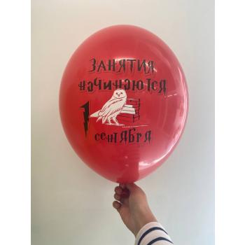 Шар к 1 сентября Гарри Поттер