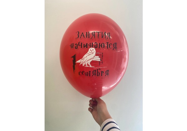 Шар к 1 сентября Гарри Поттер